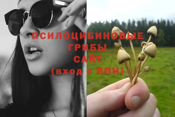 мдпв Карпинск