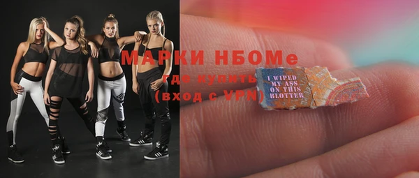 мдпв Карпинск