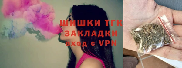 мдпв Карпинск