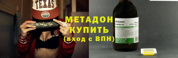прущие грибы Каменногорск