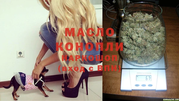 мдпв Карпинск