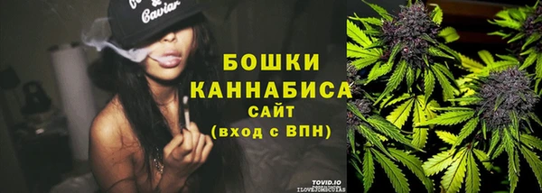 мдпв Карпинск