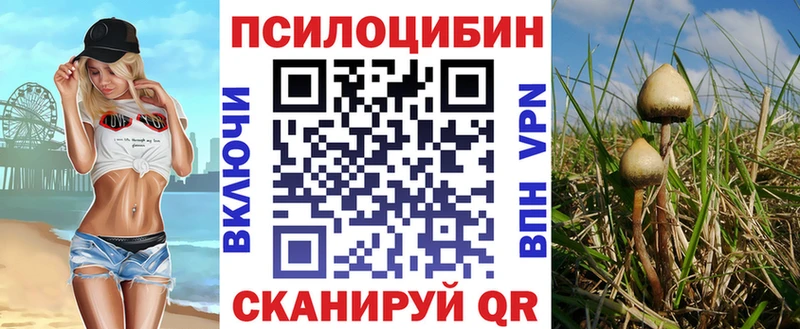 купить закладку  Сольцы  Псилоцибиновые грибы Magic Shrooms 