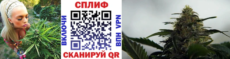 что такое   Сольцы  Конопля AK-47 